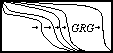 GRG Logo
