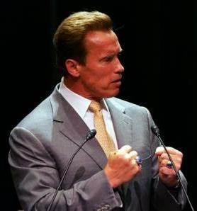 California Gov. Arnold Schwarzenegger California Gov. Arnold Schwarzenegger
