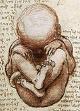 7. Sketch of fetus in the womb by Leonardo da Vinci Sketch of fetus in the womb by Leonardo da Vinci