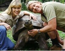 Harriet, 176 Year-Old Tortoise Harriet, 176 Year-Old Tortoise