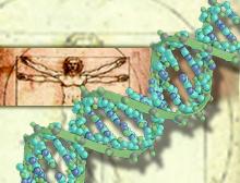 Stem Cell Vote in Senate Stem Cell Vote in Senate