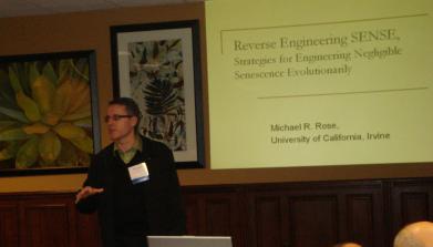 Michael Rose Michael Rose