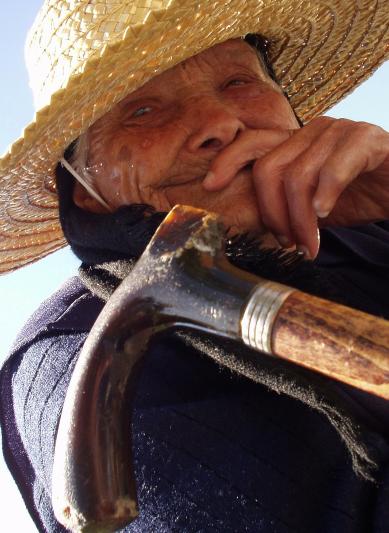 Sra. Maria de Jesus, 115 Sra. Maria de Jesus, 115