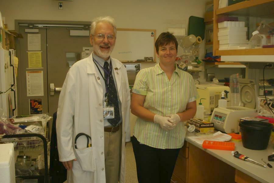 DNA Extraction DNA Extraction