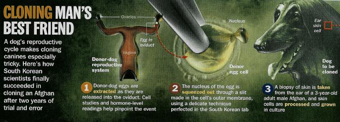 Time Magazine 11/21/05 Time Magazine 11/21/05