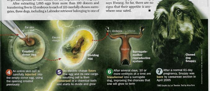 Time Magazine 11/21/05 Time Magazine 11/21/05