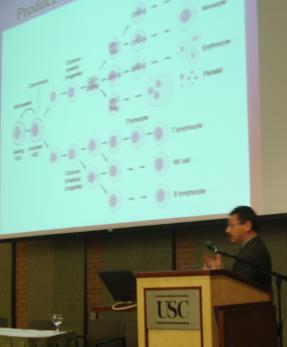 Donald B.
Kohn, M.D.