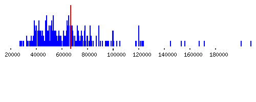 Distribution of Bets