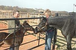 Royal Blue Boon Too (L), Colt Born in February and Royal Blue Boon, Mare