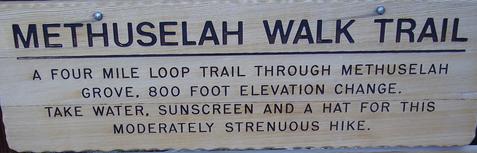 Moderately Strenuous Moderately Strenuous