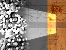 Lenoardo da Vinci to DNA