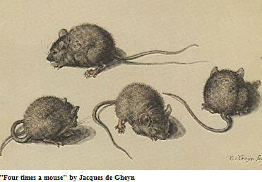 Mice